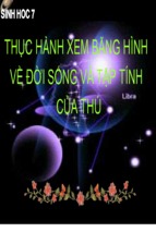 Giáo án điện tử môn sinh học thực hành tập tính động vật