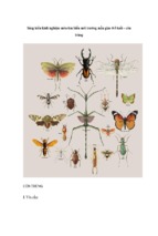 Sáng kiến kinh nghiệm môn tìm hiểu môi trường mẫu giáo 4 5 tuổi – côn trùng