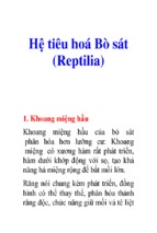 Hệ tiêu hoá bò sát (reptilia)