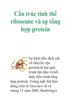 Cấu trúc tinh thể ribosome và sự tổng hợp protein