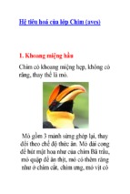 Hệ tiêu hoá của lớp chim (aves)