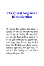 Chu kỳ hoạt động mùa ở bò sát (reptilia)