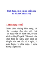 Hình dạng, vỏ da và sản phẩm của da ở lớp chim (aves)