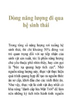 Dòng năng lượng đi qua hệ sinh thái