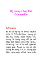 Hệ xương ở lớp thú (mammalia)