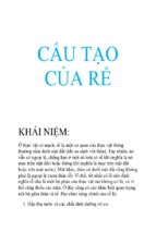 Cấu tạo của rễ