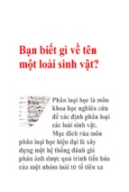 Bạn biết gì về tên một loài sinh vật