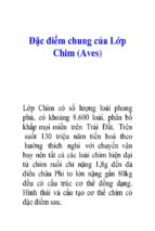 đặc điểm chung của lớp chim (aves)