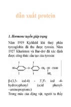 Dẫn xuất protein