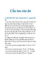 Cấu tao của da