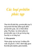 Các loại prôtêin phức tạp