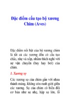 đặc điểm cấu tạo bộ xương chim (aves)