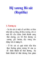 Hệ xương bò sát (reptilia)