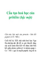 Cấu tạo hoá học của prôtêin (bậc một)