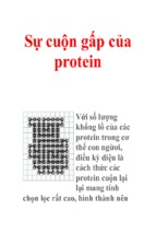 Sự cuộn gấp của protein