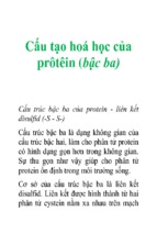 Cấu tạo hoá học của prôtêin (bậc ba)