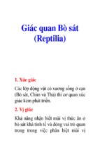 Giác quan bò sát (reptilia)