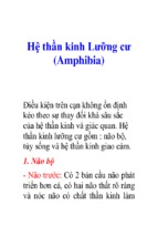 Hệ thần kinh lưỡng cư (amphibia)