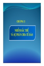 Nhiễm sắc thể và sự phân chia tế bào