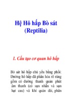 Hệ hô hấp bò sát (reptilia)