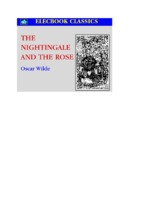 The nightingale and the rose_206