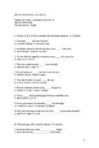 đề chuyên amsterdam   tiếng anh 10  ngô đức anh