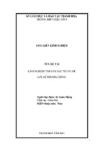 Sáng kiến kinh nghiệm kinh nghiệm tìm hàm đặc trưng để giải hệ phương trình