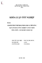 Giải pháp phát triển hoạt động cho vay tiêu dùng tại ngân hàng nông nghiệp và phát triển nông thôn   chi nhánh nam hà nội