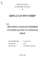 Phân tích đánh giá tình hình tài chính tại công ty cổ phần đá spilit