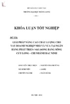 Giải pháp nâng cao chất lượng cho vay doanh nghiệp nhỏ và vừa tại ngân hàng phát triển nhà đồng bằng sông cửu long   chi nhánh bắc ninh