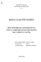 Phân tích hiệu quả kinh doanh của công ty trách nhiệm hữu hạn một thành viên thương mại và dịch vụ cao trụ