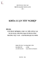 Giải pháp mở rộng cho vay tiêu dùng tại ngân hàng thương mại cổ phần công thương việt nam   chi nhánh quảng ninh