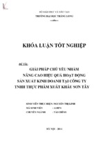 Giải pháp chủ yếu nhằm nâng cao hiệu quả hoạt động sản xuất kinh doanh tại công ty tnhh thực phẩm xuất khẩu sơn tây