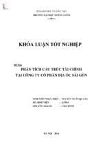 Phân tích cấu trúc tài chính tại công ty cổ phần địa ốc sài gòn