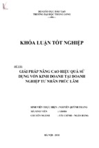 Giải pháp nâng cao hiệu quả sử dụng vốn kinh doanh tại doanh nghiệp tư nhân phúc lâm