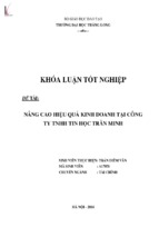 Nâng cao hiệu quả kinh doanh tại công ty tnhh tin học trần minh