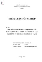 Một số giải pháp hoàn thiện công tác đào tạo và phát triển nguồn nhân lực tại công ty cổ phần cao su sao vàng