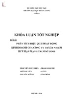 Phân tích hiệu quả hoạt động kinh doanh của công ty trách nhiệm hữu hạn mạnh trường bình