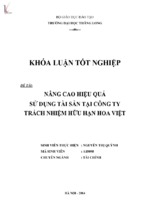 Nâng cao hiệu quả sử dụng tài sản của công ty trách nhiệm hũu hạn hoa việt