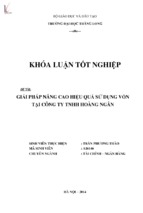 Giải pháp nâng cao hiệu quả sử dụng vốn tại công ty tnhh hoàng ngân