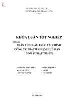 Phân tích cấu trúc tài chính công ty trách nhiệm hữu hạn gốm sứ bát tràng