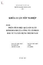 Phân tích hiệu quả sản xuất kinh doanh của công ty cổ phần đầu tư và xây dựng thành nam