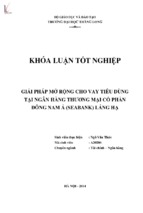 Giải pháp mở rộng cho vay tiêu dùng tại ngân hàng thương mại cổ phần đông nam á (seabank) láng hạ