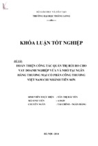 Hoàn thiện công tác quản trị rủi ro cho vay doanh nghiệp vừa và nhỏ tại ngân hàng thương mại cổ phần công thương việt nam chi nhánh tiên sơn