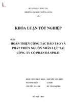 Hoàn thiện công tác đào tạo và phát triển nguồn nhân lực tại công ty cổ phần đá spilit