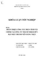 Hoàn thiện công tác phân tích tài chính tại công ty trách nhiệm hữu hạn một thành viên đăng thực