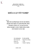 Một số giải pháp hạn chế rủi ro trong thanh toán quốc tế theo phương thức tín dụng chứng từ tại ngân hàng nông nghiệp & phát triển nông thôn chi nhánh nam hà nội