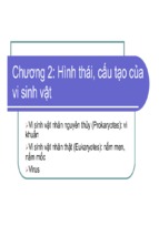 Chuong ii 