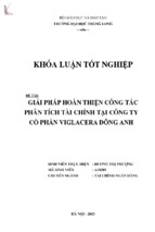 Giải pháp hoàn thiện công tác phân tích tài chính tại công ty cổ phần viglacera đông anh