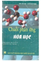 Chuỗi phản ứng hóa học (nxb đại học quốc gia)   đặng công hiệp, 192 trang